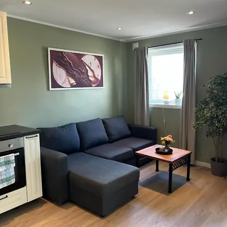Apartament Mai Tran Gjøvik