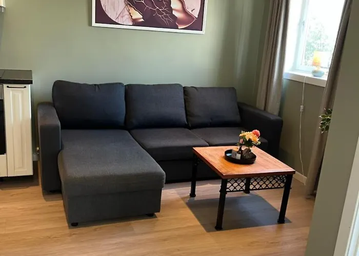 Apartament Mai Tran Gjøvik