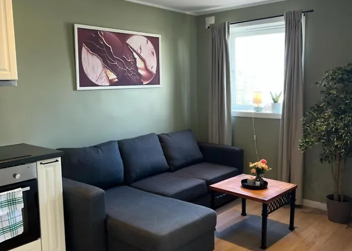 Apartament Mai Tran Gjøvik